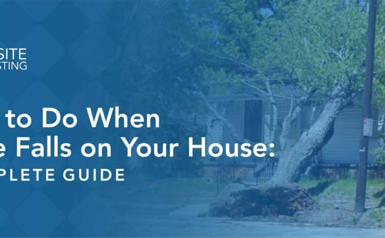 What to Do When a Tree Falls on Your House: A Complete Guide