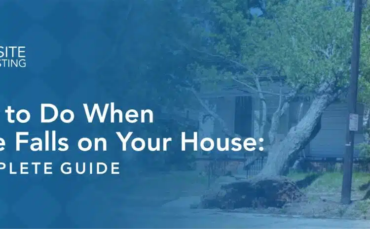  What to Do When a Tree Falls on Your House: A Complete Guide