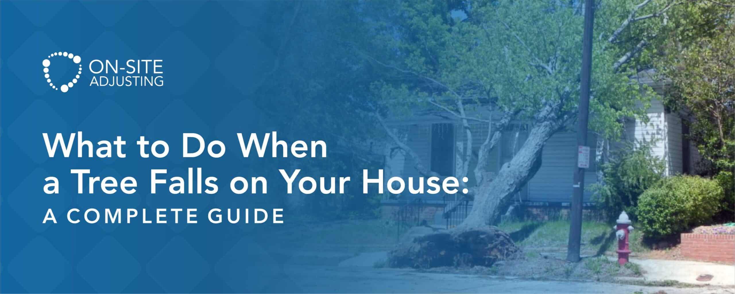 What to Do When a Tree Falls on Your House: A Complete Guide