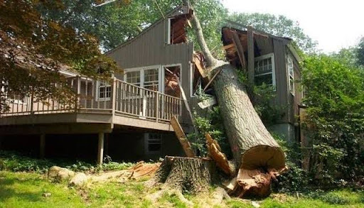 a tree fallen on a house after a storm