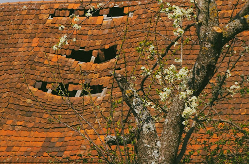 A cracked roof with missing tiles due to fallen tree damage.