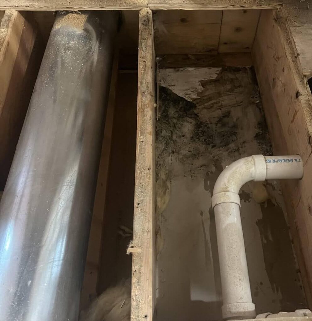 Mold growing on the wall behind a pipe.